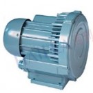 HAILEA VB 600G Air Blower