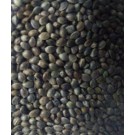 Hemp Seeds