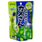Hikari Kyozai Turtle Food