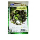 Chia Tai Home Garden Big Red Oak Lettuce Seeds