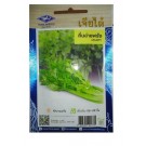 Chia Tai Home Garden Celery Seeds