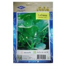 Chia Tai Home Garden Chinese Kale Seeds