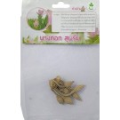 Dynamic Seeds Bangkok Supreme Curcuma Big Bulb 