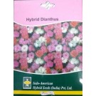 Hybrid Dianthus Flower Seeds
