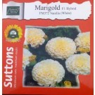 Hybrid VANILLA Marigold Flower Seeds