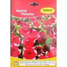 Hybrid Petunia Flower Seeds