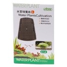 ISTA Water Plants Cultivation