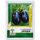Kalash Seeds F1 Janak Hybrid Brinjal Seeds – 20g | High‑Yield Glossy Purple Variety