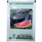 Kalash Seeds F1 KSP 1358 MELODY – Hybrid Watermelon Seeds, Oblong Sweet Fruit (10 gm Pack)