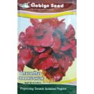 Liebigs Amaranthus Jabakushum Commercial Agriculture Seeds