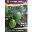 Liebigs Brinjal F1 LB24 Commercial Agriculture Seeds