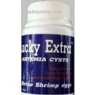 Lucky Artemia Cysts