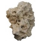 Marine Reef Rock