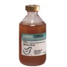 MSD Animal Health NOBILIS Coryza