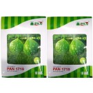 Pan 1719 Bottle Gourd F1 Hybrid Seeds