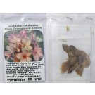 Pink Plumeria Frangipani Kathalichapa Seeds