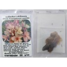 Pink Plumeria Frangipani Kathalichapa Seeds