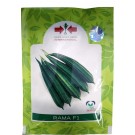 East West Rama F1 Ridge Gourd Hybrid Seeds