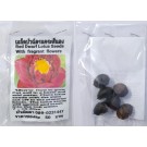 Red Fragrant Lotus Seeds