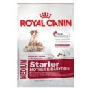 Royal Canin Medium Starter