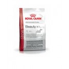 Royal Canin Performance Beauty Small Dog