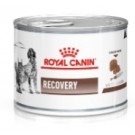 Royal Canin Recovery