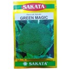 Sakata Japan Green Magic Hybrid Broccoli Seeds – Premium F1 Variety for Summer-to-Fall Cultivation