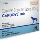 Savavet Carodyl 