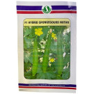 Sungro Seeds Nutan F1 Hybrid Sponge Gourd Seeds – 100g | High‑Yield Luffa Variety