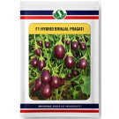 Sungro Seeds Pragati F1 Hybrid Brinjal Seeds – 50g | High‑Yield Purple Eggplant Variety