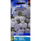 Suttons Ageratum Seeds 