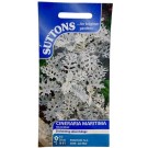 Suttons Cineraria Maritima Silverdust Seeds