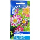 Suttons Dahlia Yankee Doodle Dandy Seeds
