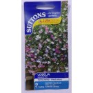 SUTTONS England Lobelia Cascade Mix