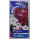 SUTTONS England Nicotiana F1 Perfume Mix