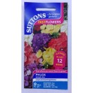 SUTTONS England Phlox Delight Mix