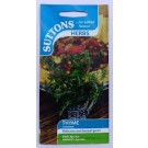 SUTTONS England Thyme Common