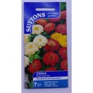 SUTTONS England Zinnia Bright Spark Mix