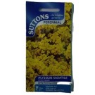 Suttons UK Alyssum Saxatile Golden Queen Seeds 