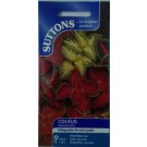 Suttons UK Coleus Rainbow Mix Seeds 