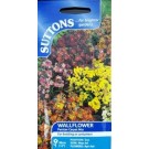 Suttons Wallflower Seeds 