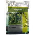 Syngenta AAFREEN Cucumber Hybrid Seed