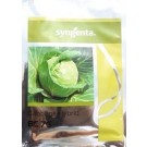 Syngenta BC 76 Cabbage Commercial Agriculture Seeds
