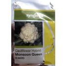 Syngenta C6105 Monsoon Queen Hybrid Cauliflower Seed