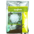 Syngenta CFL1522 Hybrid Cauliflower Seed