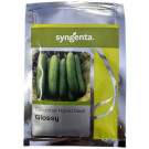 Syngenta Glossy Hybrid Cucumber Seeds – 700 Seeds Pack | High‑Yield Green Cucumber Variety
