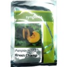 Syngenta GREEN CHAMP Pumpkin Hybrid Seed