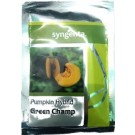 Syngenta Green Champ Pumpkin Hybrid Seed
