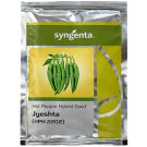 Syngenta Jyeshta HPH 2202 Hybrid Hot Pepper Seeds – 1500 Seeds Pack | High‑Yield Spicy Red Pepper Variety