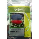 Syngenta RED CHIEF Watermelon Hybrid Seed